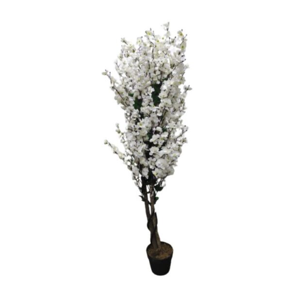 ARBOL CHIMON JAPONES BLANCO 150CM CON MACETA REF:22458