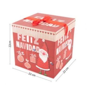 CAJA REGALO NAV.REF:SAN1213  5157L (22x22x22CM)