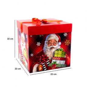 CAJA REGALO NAV.REF:SAN1216  5161L (22x22x22CM)