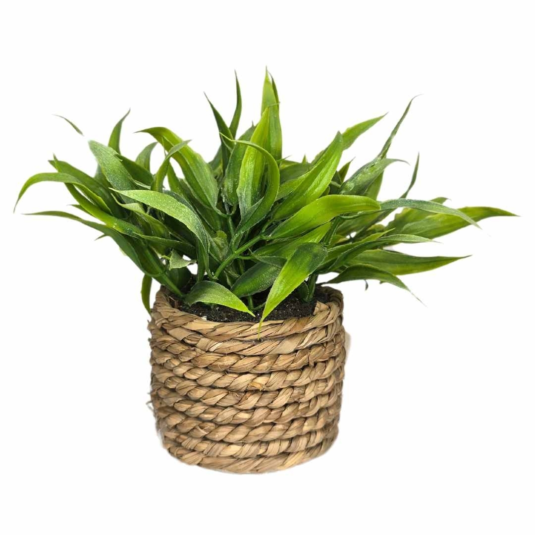 PLANTA C/POTE 17CM REF: 140-1500473